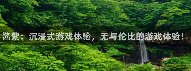 优贝娱乐网页登录入口：酱紫：沉浸式游戏体验，无与伦比的游戏体