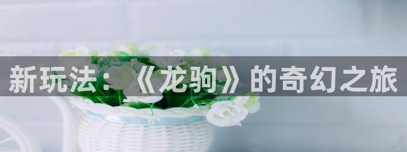 优贝娱乐咨询：新玩法：《龙驹》的奇幻之旅