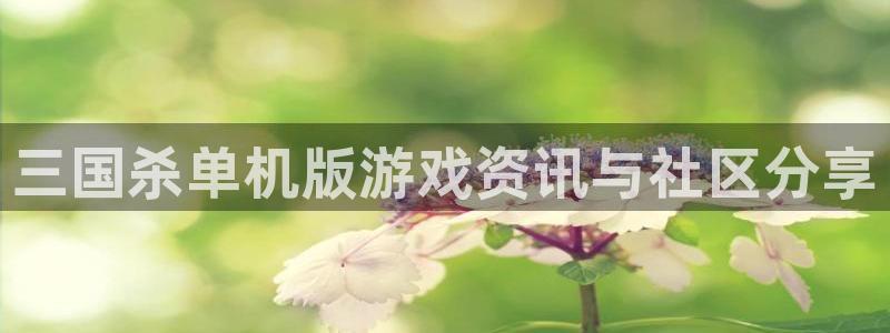 优贝娱乐升级5994月：三国杀单机版游戏资讯与社区分享