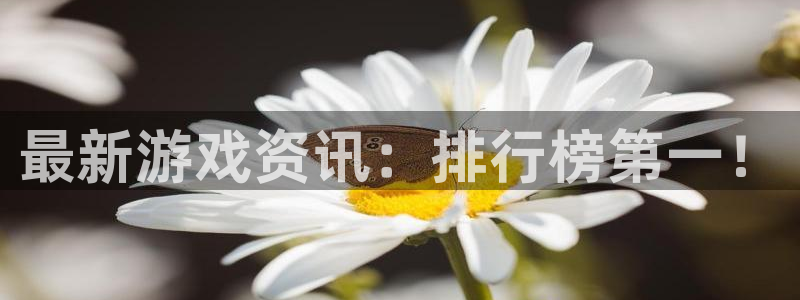 优贝娱乐2登录：最新游戏资讯：排行榜第一！