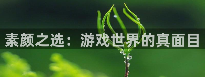 优贝娱乐2首页登录：素颜之选：游戏世界的真面目