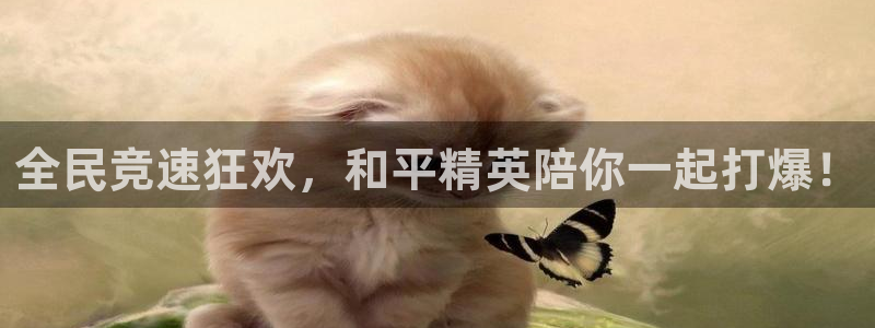 优贝娱乐在线登录：全民竞速狂欢，和平精英陪你一起打爆！