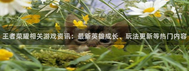 优贝娱乐是什么：王者荣耀相关游戏资讯：最新英雄成长、玩法更新